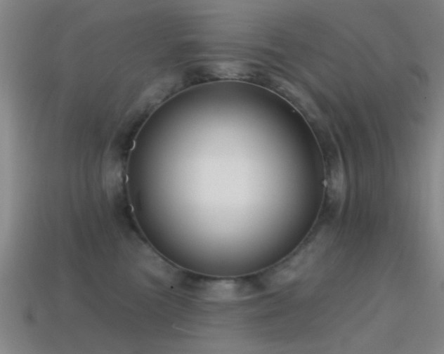 X0000114400473200910161319