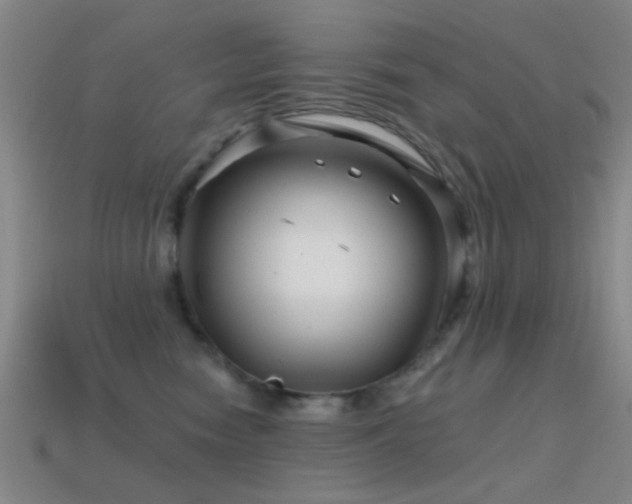 X0000114400474200910161319