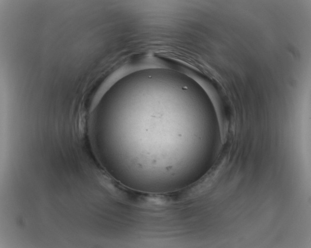 X0000114400475200910161319