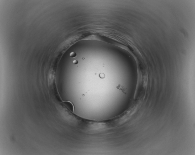 X0000114400476200910161319