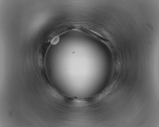 X0000114400477200910161319