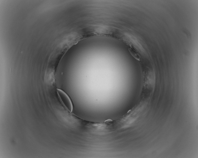 X0000114400478200910161319