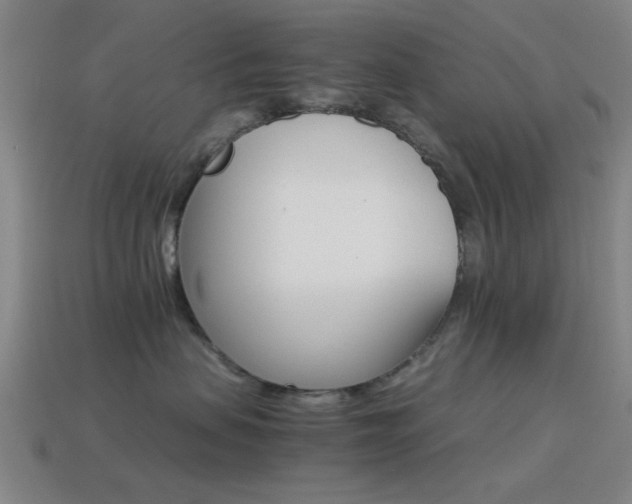 X0000114400479200910161319