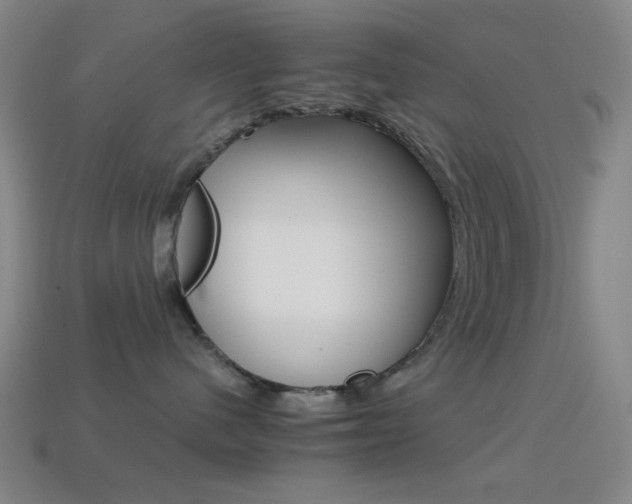 X0000114400480200910161319