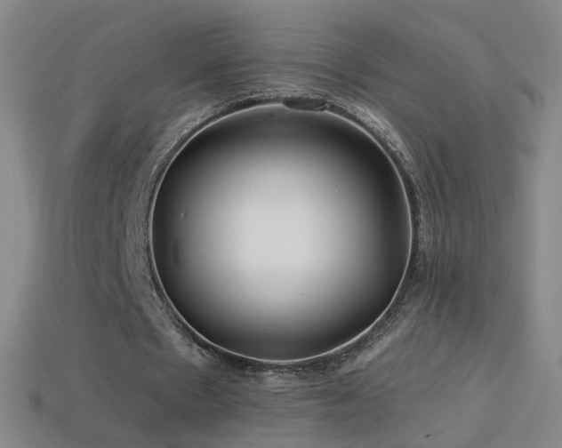 X0000114400481200910161318