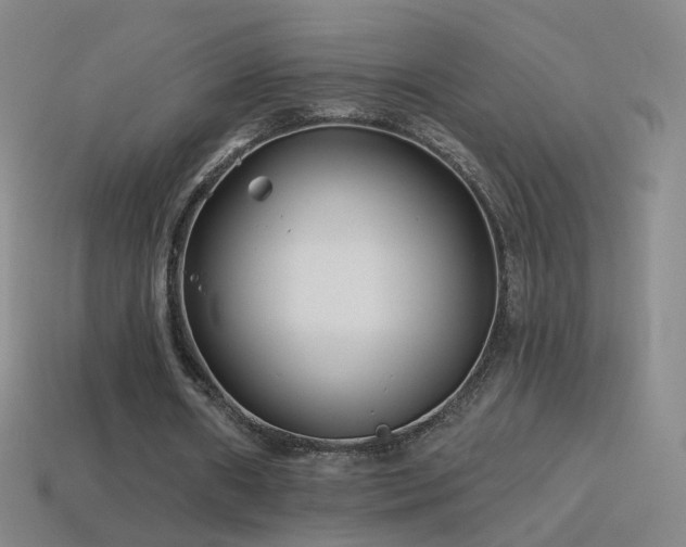 X0000114400482200910161318