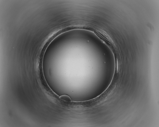 X0000114400483200910161318