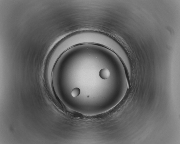 X0000114400484200910161318