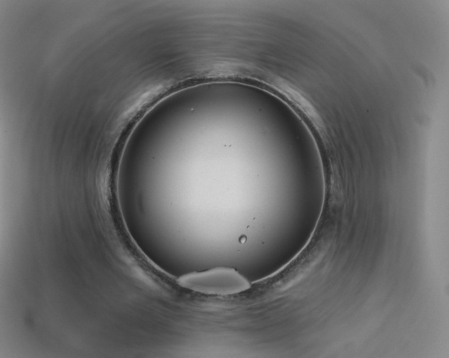 X0000114400485200910161318