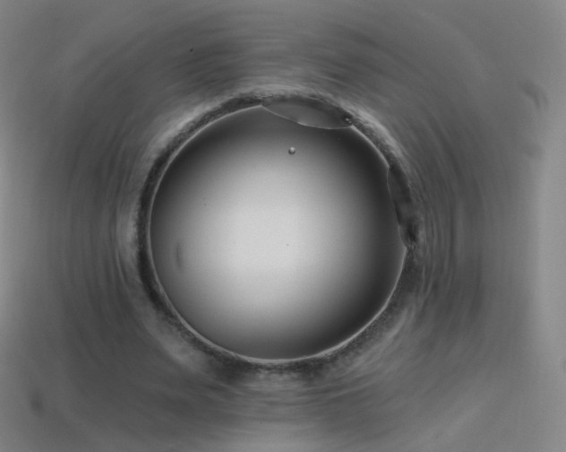 X0000114400487200910161318