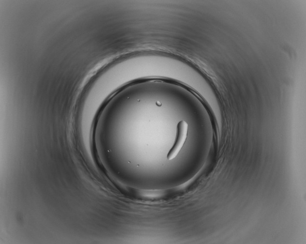 X0000114400488200910161318