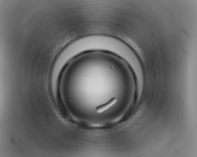 X0000114400489200910161318