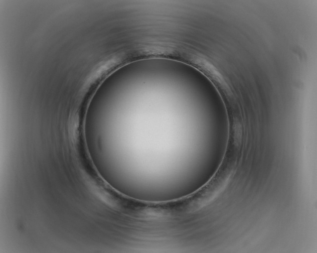 X0000114400490200910161318