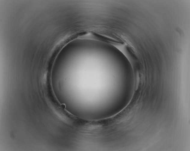 X0000114400491200910161318