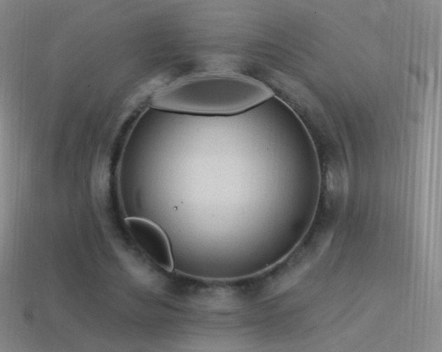 X0000114400492200910161318