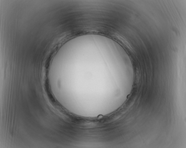 X0000114400494200910161318