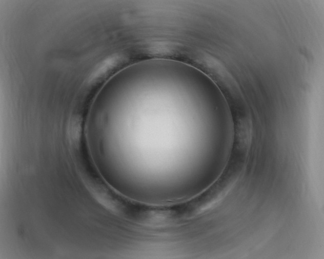 X0000114400495200910161318