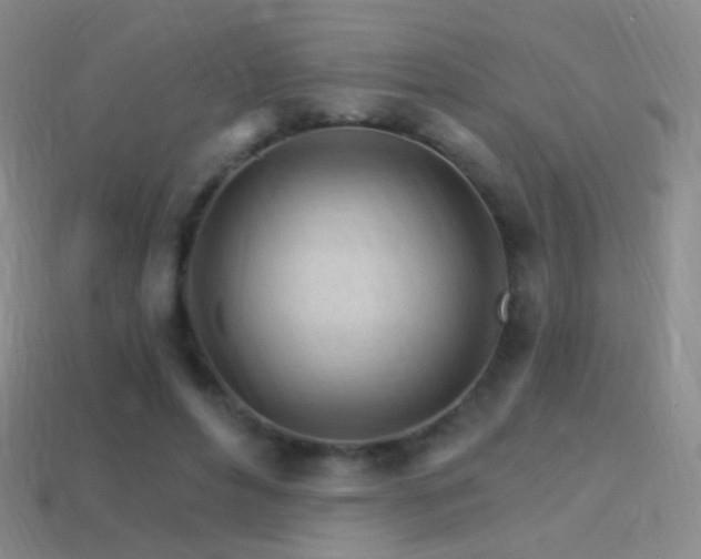 X0000114400496200910161318