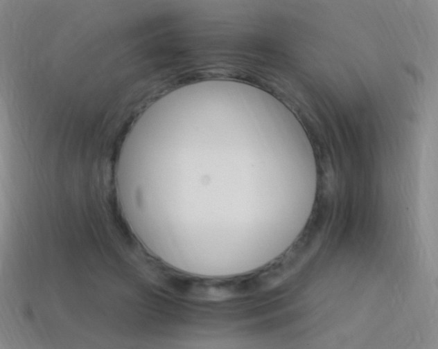 X0000114400498200910161318