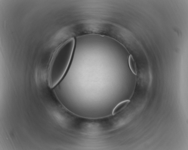 X0000114400500200910161318