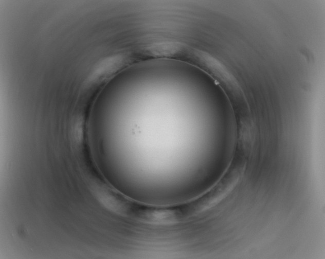 X0000114400501200910161318