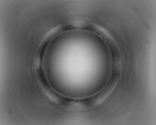 X0000114400502200910161318