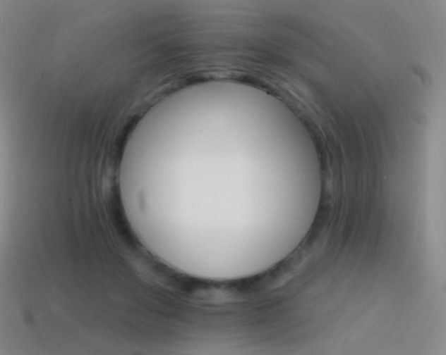 X0000114400503200910161318