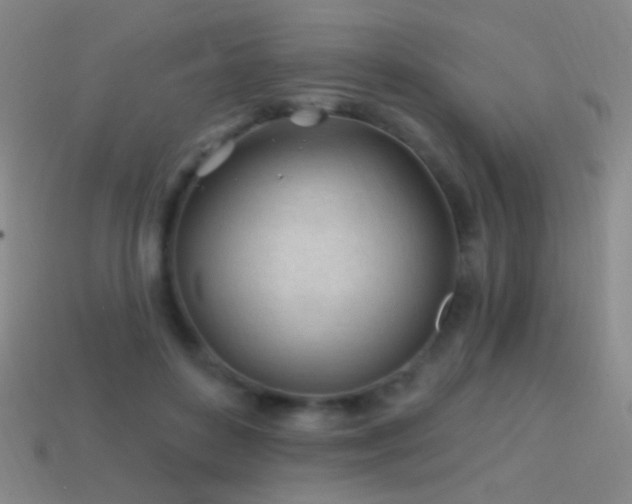 X0000114400504200910161318