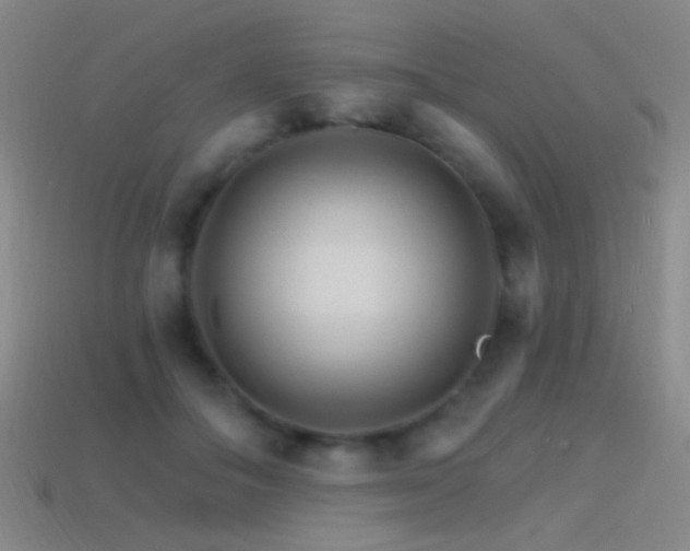 X0000114400506200910161318