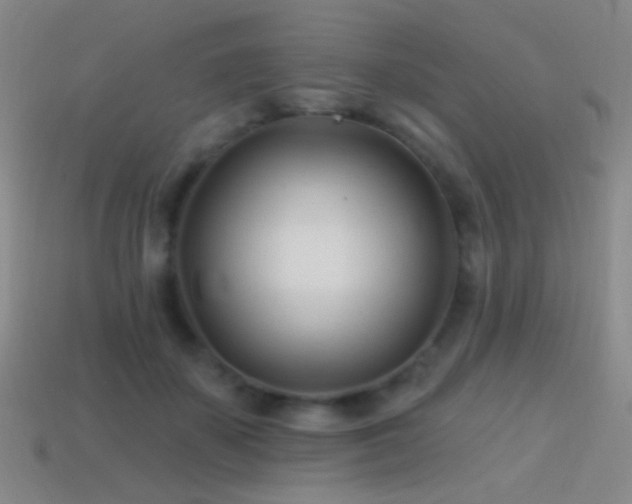 X0000114400507200910161318