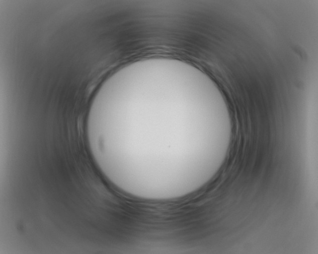 X0000114400508200910161318