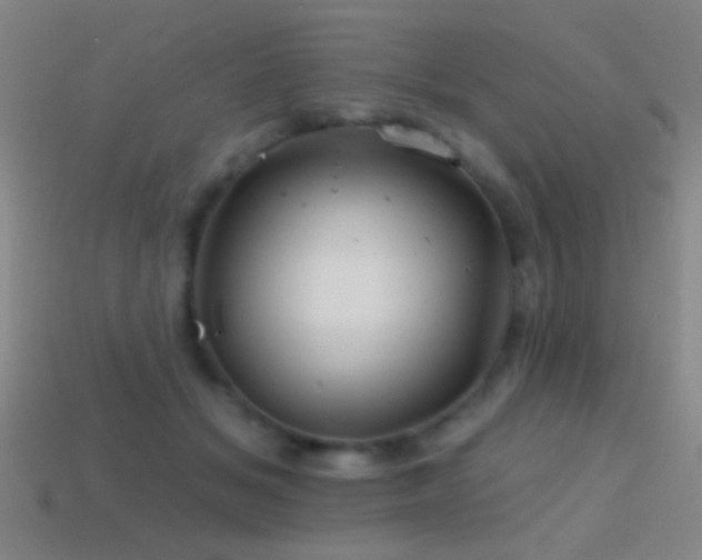 X0000114400509200910161318