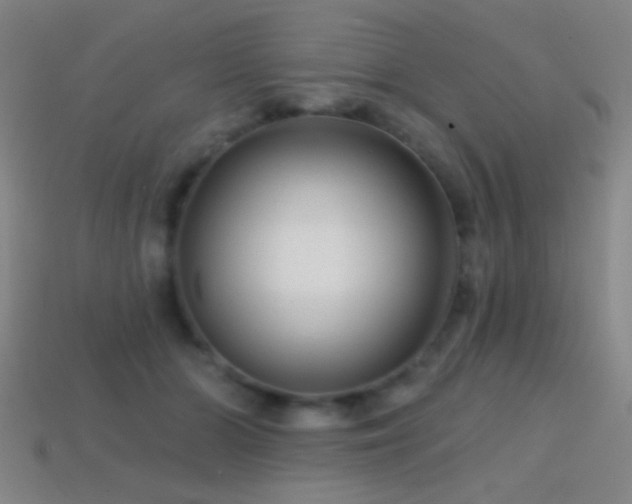 X0000114400510200910161318