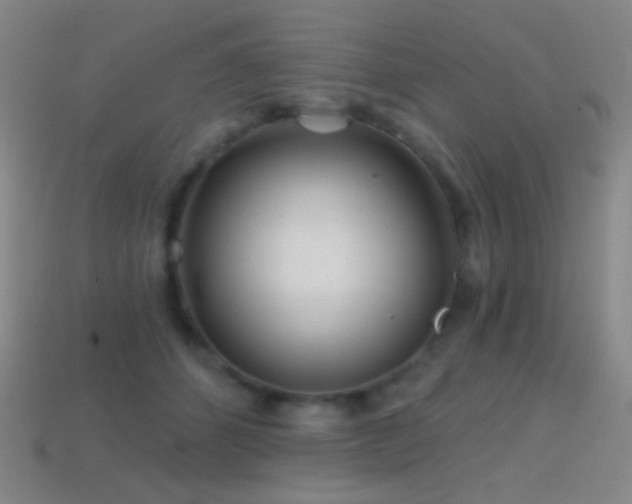 X0000114400512200910161318