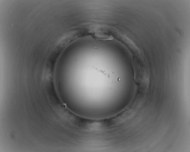 X0000114400513200910161318