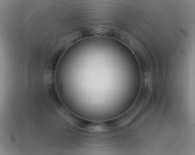 X0000114400514200910161318