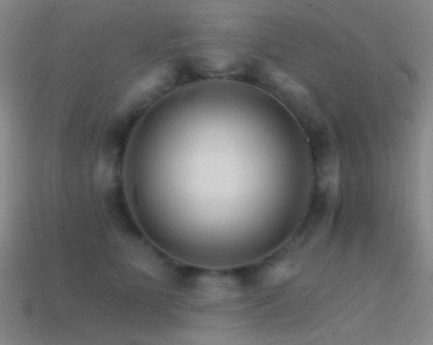 X0000114400515200910161318