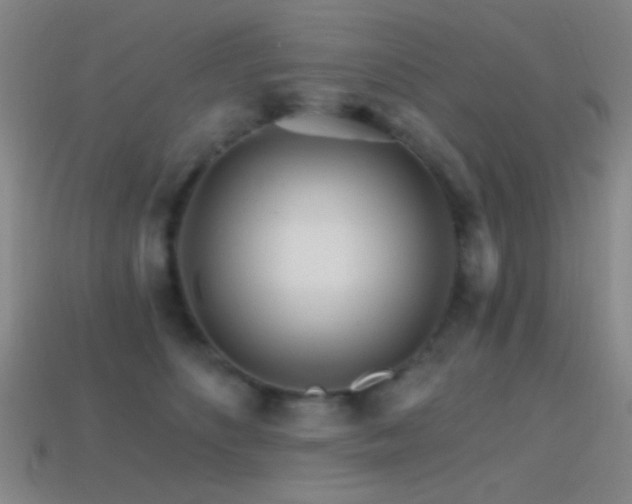 X0000114400516200910161318