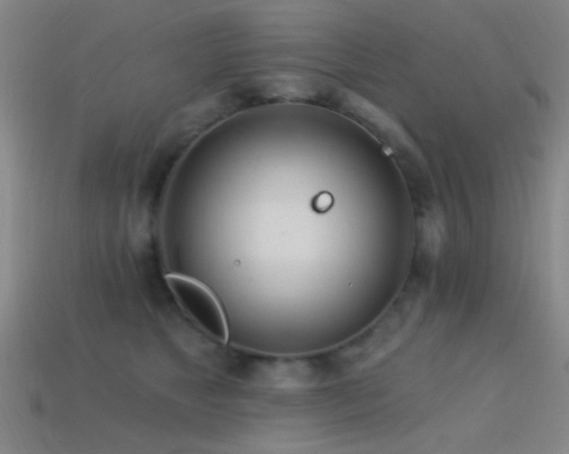 X0000114400517200910161318