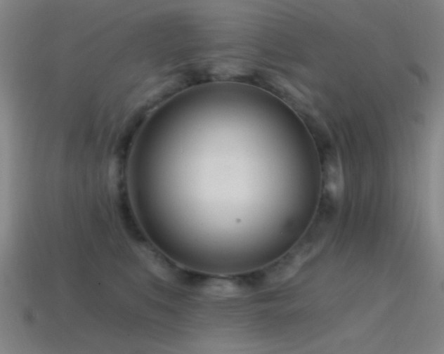 X0000114400519200910161318