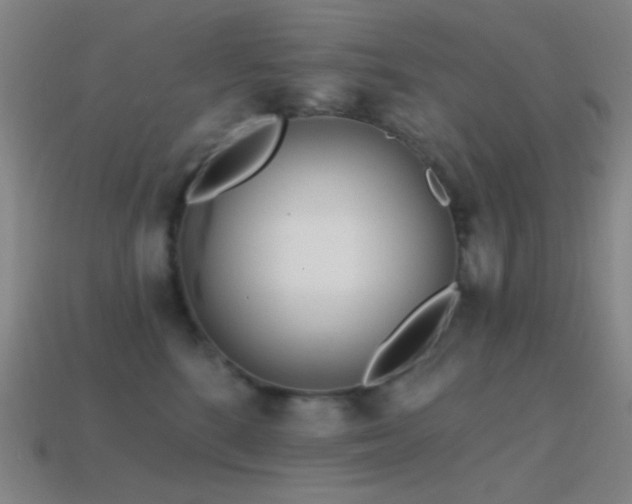 X0000114400520200910161318