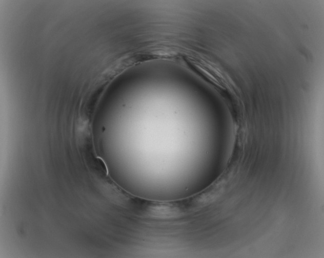 X0000114400521200910161318