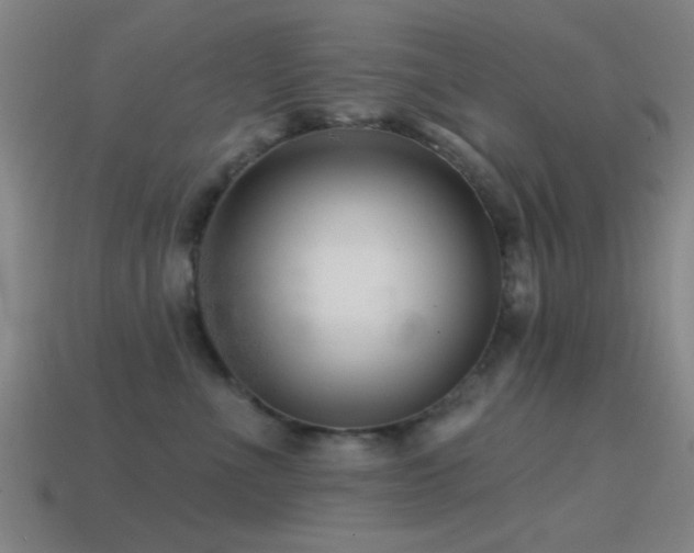 X0000114400523200910161318