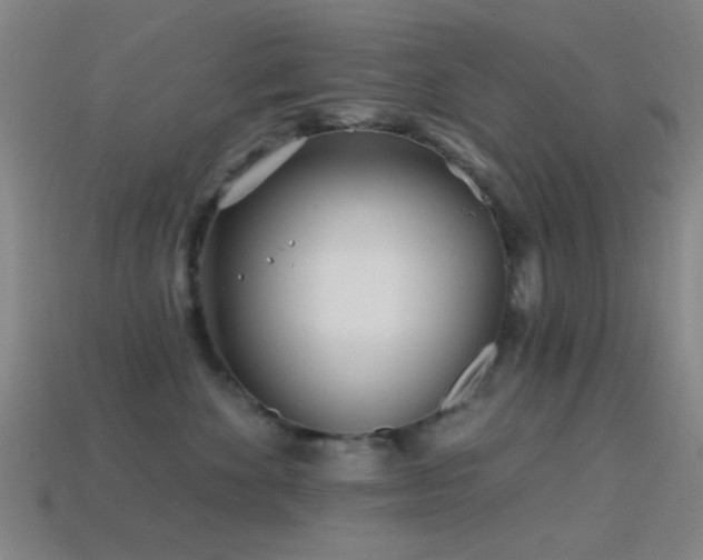 X0000114400524200910161318