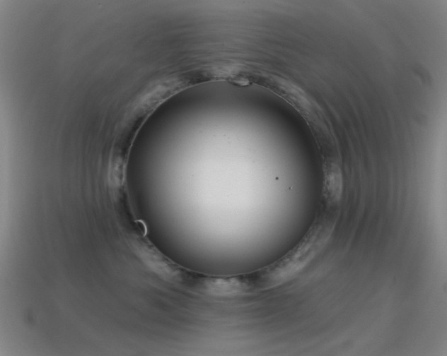 X0000114400525200910161318