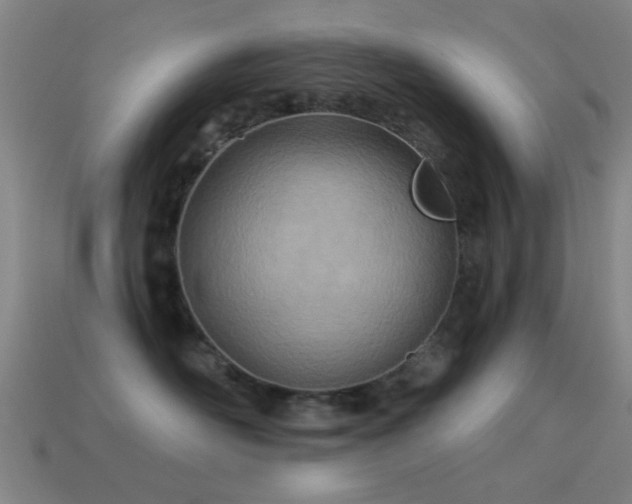 X0000114400526200910161318