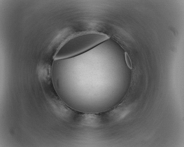 X0000114400528200910161318