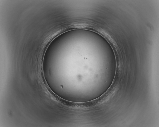 X0000114400529200910161317