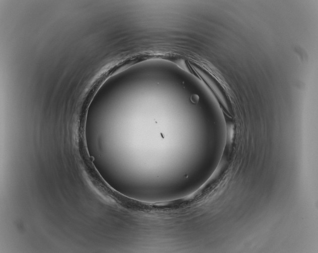 X0000114400530200910161317