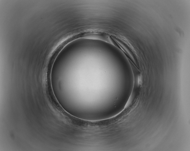 X0000114400531200910161317